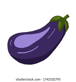 vector eggplant in cartoon flat style. Stylized hand drawn vegetable art