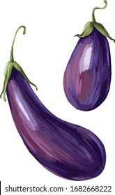 Vector Eggplant drawn in a realistic style on a white isolated background. Vegetables for diet, vegetarian, healthy eating. Use as restaurant menu, packaging, product design, textiles, banners, logo