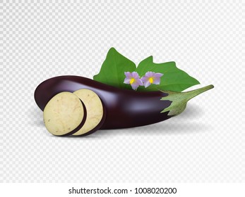 Vector eggplant isolated on transparent background. Eggplant with slice.