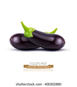 vector eggplant isolated on white background