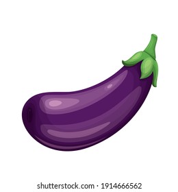 Vector eggplant. Vegetable illustration for farm market menu. Healthy food design