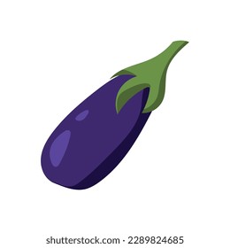 Vector eggplant. Vegetable illustration for farm market menu. Healthy food design.