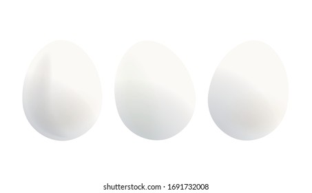 Vector eggs illustration on white background