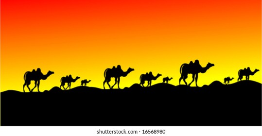 vector Egypt and camel run sunset background