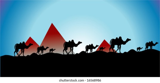 vector Egypt and camel run sunset background