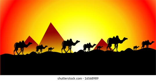 vector Egypt and camel run sunset background