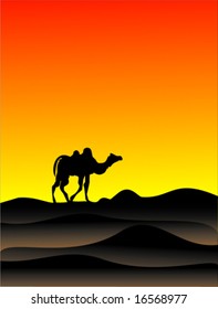 vector Egypt and camel sunset background