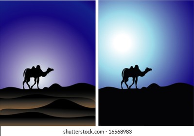 vector Egypt and camel sunset background