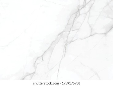The vector elegance white marble gray textured surface paper background