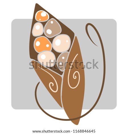Vector elegant brown bag of colorful glasing nuts