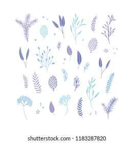 Vector elegant cute Christmas floral big collection. Feminine flower graphic design elements. Leaves, twigs and branches.