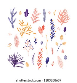 Vector elegant cute Christmas floral big collection. Feminine flower graphic design elements. Leaves, twigs and branches.