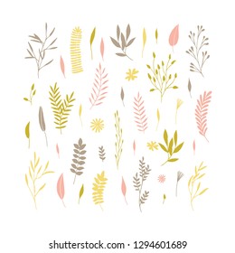 Vector elegant cute flower big collection. Feminine floral graphic design elements. Leaves and branches.
