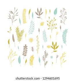 Vector elegant cute flower big collection. Feminine floral graphic design elements. Leaves and branches.