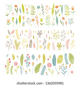 Vector elegant cute flower big collection. Feminine floral graphic design elements. Leaves and branches.