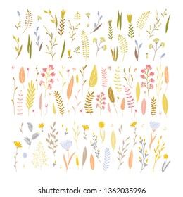 Vector elegant cute flower big collection. Feminine floral graphic design elements. Leaves and branches.