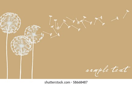 Vector elegant dandelion background