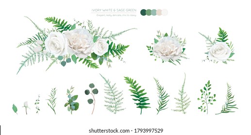Vector elegant floral bouquet: Ivory white, creamy peony Rose flowers, silver sage Eucalyptus branches, greenery leaves, ferns, green asparagus. Wedding editable watercolor style designer elements set