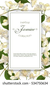 Vector elegant jasmine flower vertical frame on white background. Design for herbal tea, health care products, natural cosmetics, essential oil. Can be used as greeting card or wedding invitation