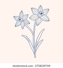 Vector elegant line art daffodil bouquet with two blooming flowers in blue outline on soft pastel background. Minimal narcissus floral sketch illustration for logo, wedding invitation, greeting card.