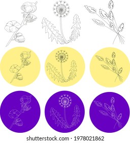 vector elegant linear icons with background with elements on the theme of nature, flowers, decorations: flowers, flower, dandelion, cotton.