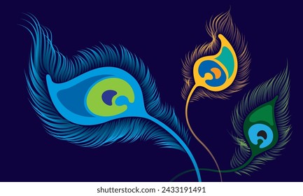 Vector of elegant peacock feathers. Vector. Peacock feather is an auspicious symbol in Hinduism.