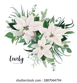 Vector elegant white Poinsettia flower, Christmas tree branches, eucalyptus greenery, green forest leaves floral bouquet. Elegant, cute watercolor style holiday illustration, editable designer element