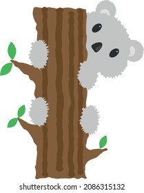 vector element animal of australia a small fluffy koala on a tree