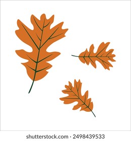 vector element for autumn season. perfect for your design autumn element needs