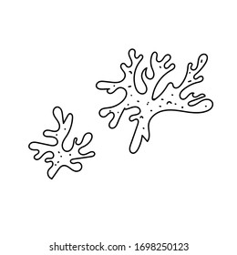 vector element, black and white drawing of a marine inhabitant, doodle coloring, seaweed