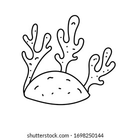 vector element, black and white drawing of a marine inhabitant, doodle coloring, seaweed coral