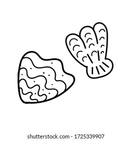 vector element, black and white drawing of a marine inhabitant doodle, shell, coloring book