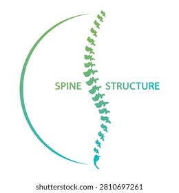 A vector element for creating spine logo art, A hand-drawn illustration of human spinal cord, A vector drawing of backbone structure