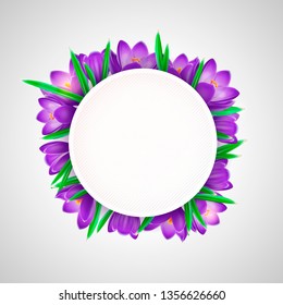Vector element for design. Blue crocuses with white card round with green leaves