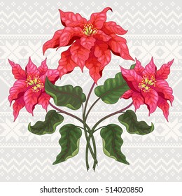 Vector element for design. Branch of poinsettia flowers. Norwegian ornament on seamless background. Christmas collection.