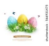 Vector element for design. Easter eggs in green grass with white flowers, butterflies isolated on white background.
