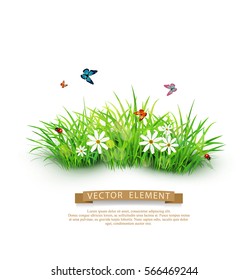 Vector element for design. Green grass with white flowers, butterflies and ladybug. isolated on white background