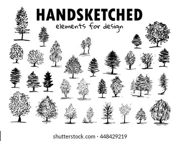 Vector element for design. Simple hand drawn sketches pictures. Big set of different kind of trees. Willow, pine, oak, aspen, birch, maple, chestnut. Black line isolated on white