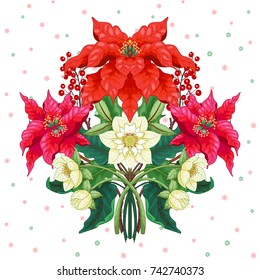 Vector element for design. Symmetrical branches of poinsettia flowers, holly berries and hellebore. 
