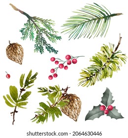 Vector element designer collection set of green natural forest pine trees fir needles branches of greenery, berries, cones, mistletoe are hand-painted in watercolor style.