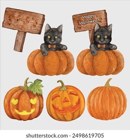 Vector element designer Halloween set of pumpkins and black cat are hand-painted in watercolor style.