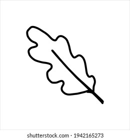 vector element in doodle style oak leaf made in line art style isolated on white background.