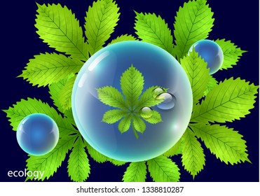 Vector element for environmental design. Water drops in the shape of a shiny ball with bright green chestnut leaves - Vector Graphics
