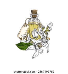 Vector element with essential oil of neroli flowers with leaves in a glass jar with a label, made in the sketch style for design in phytotherapy and aromatherapy.