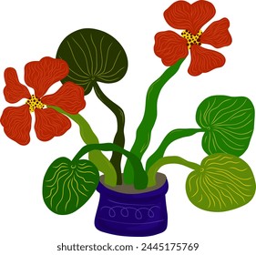 Vector element hand drawn flat cartoon style. Stylized floral arrangement for cards, invitations, etc. Floral element, nasturtium in a pot
