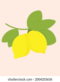 vector element illustration yellow lemons hanging on a branch
