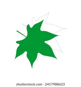 vector element leaf in green color leaf