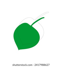 vector element leaf in green color leaf