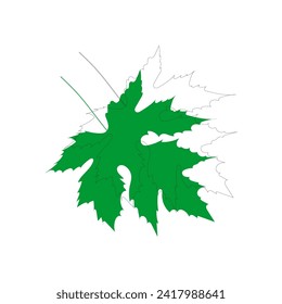 vector element leaf in green color leaf