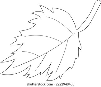 vector element leaf of tree, outline leaf